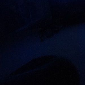 Meet your Posher, Erick